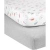 imageSimple Joys by Carters Baby 2Pack Cotton Crib SheetsHeatherDinosaur